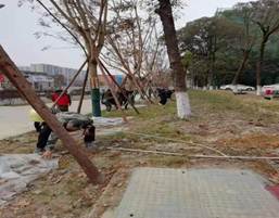说明: D:\物管中心相关\2021年寒假\日常养护清理.jpg